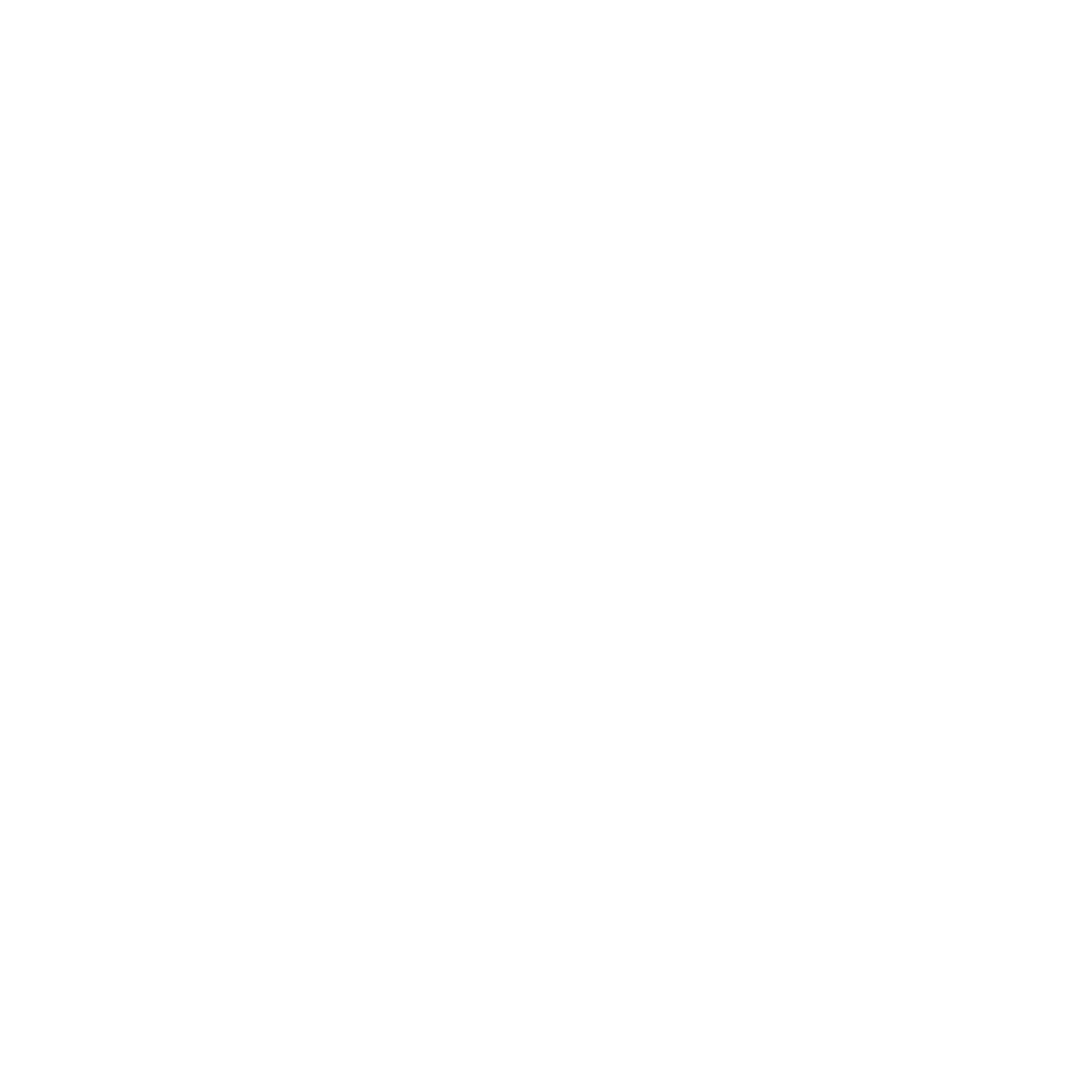 Sealion Logo